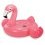 Flamant rose PM 1.42X1.37m 0.97M